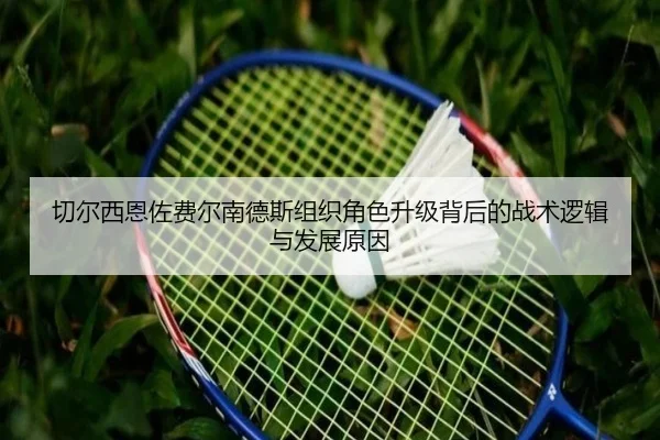 切尔西恩佐费尔南德斯组织角色升级背后的战术逻辑与发展原因